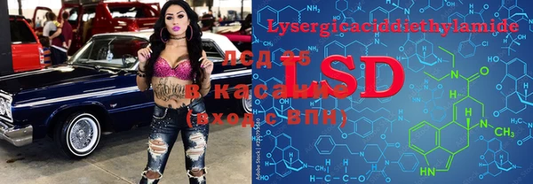 сатива Волосово